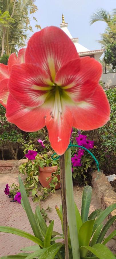 Upasana Eco Resort Bolpur Luaran gambar